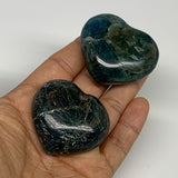 143.3g, 1.6"-1.6", 2pcs, Small Blue Apatite Heart Polished Gemstone @Madagascar,