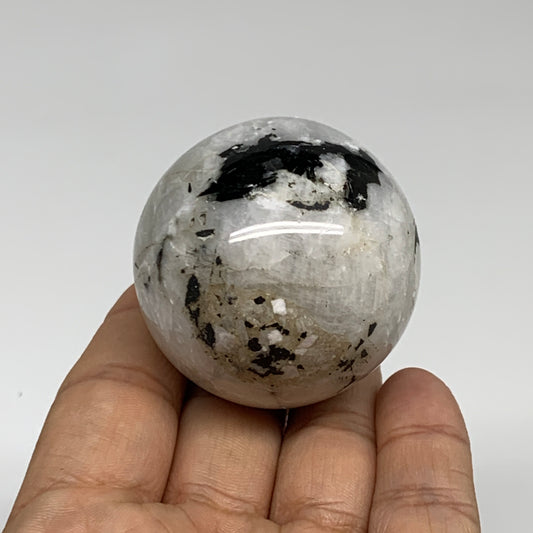 134.8g, 1.8"(46mm), Natural Rainbow Moonstone Sphere Ball Gemstone, B35178