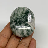71.7g, 2.2"x1.7"x0.8", Tree Agate Palm-Stone Reiki Energy Crystal Reiki, B29487