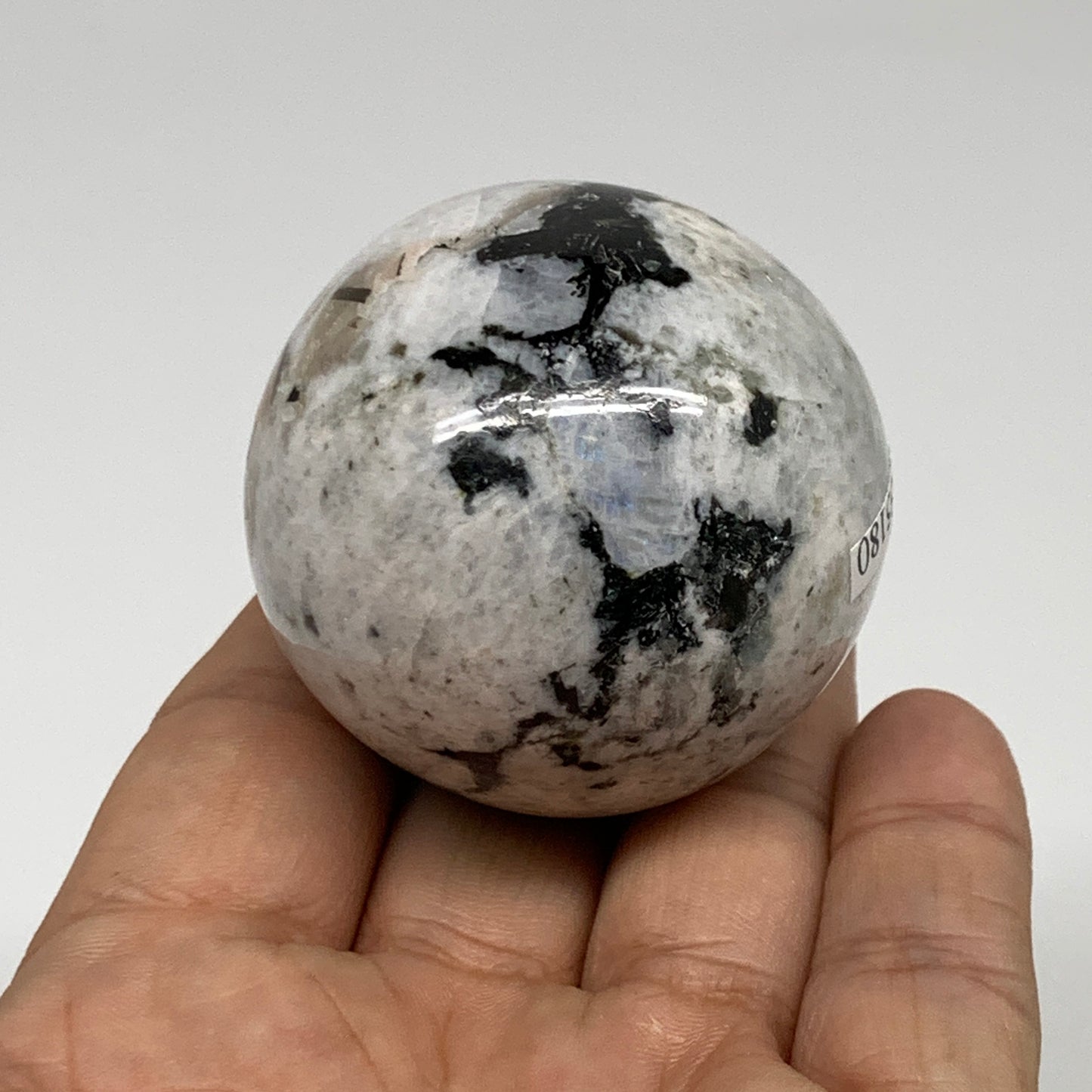 148.8g, 1.8"(46mm), Natural Rainbow Moonstone Sphere Ball Gemstone, B35180