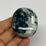 77.7g, 2.2"x1.8"x0.8", Tree Agate Palm-Stone Reiki Energy Crystal Reiki, B29490