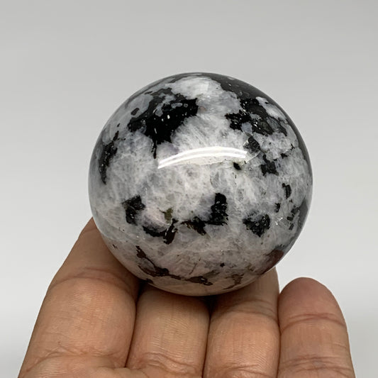 176g, 2"(49mm), Natural Rainbow Moonstone Sphere Ball Gemstone, B35181