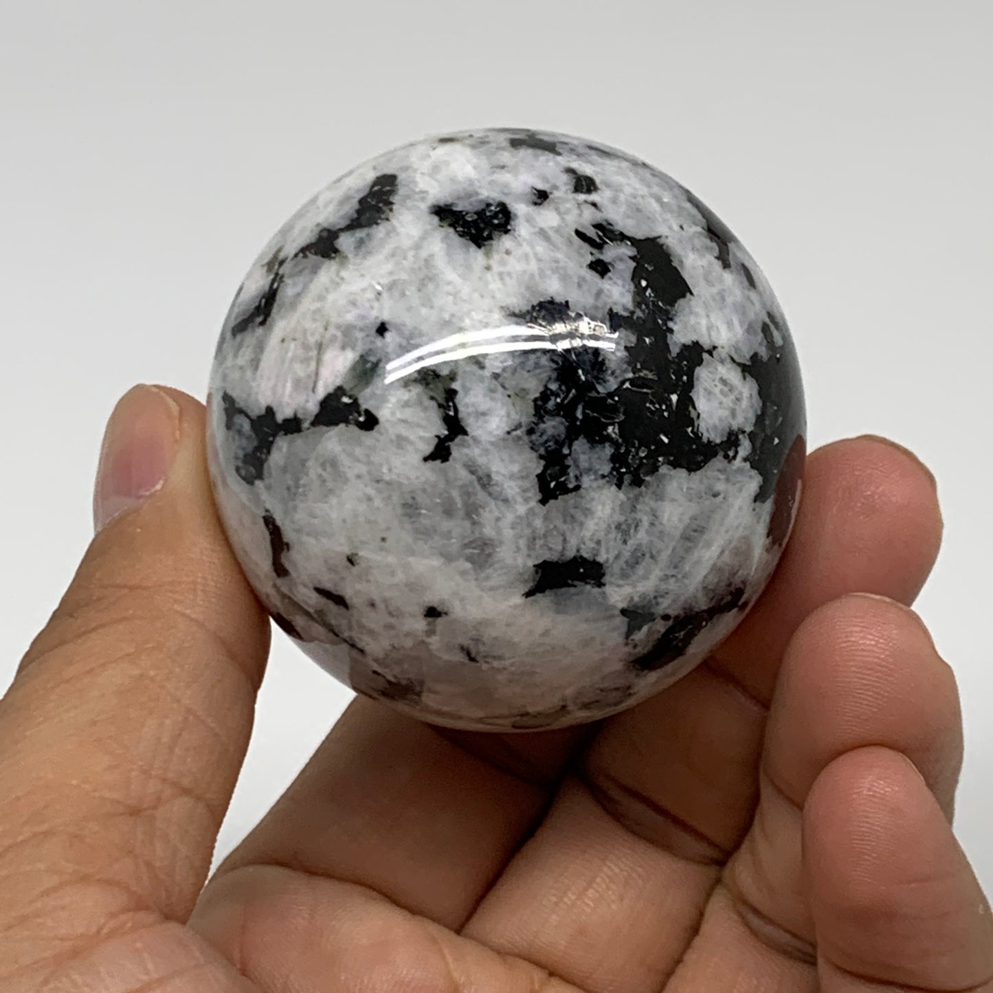 176g, 2"(49mm), Natural Rainbow Moonstone Sphere Ball Gemstone, B35181
