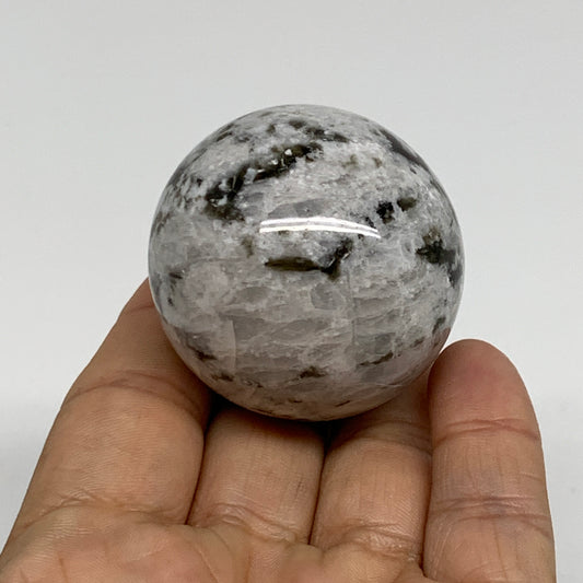 112.6g, 1.7"(43mm), Natural Rainbow Moonstone Sphere Ball Gemstone, B34400