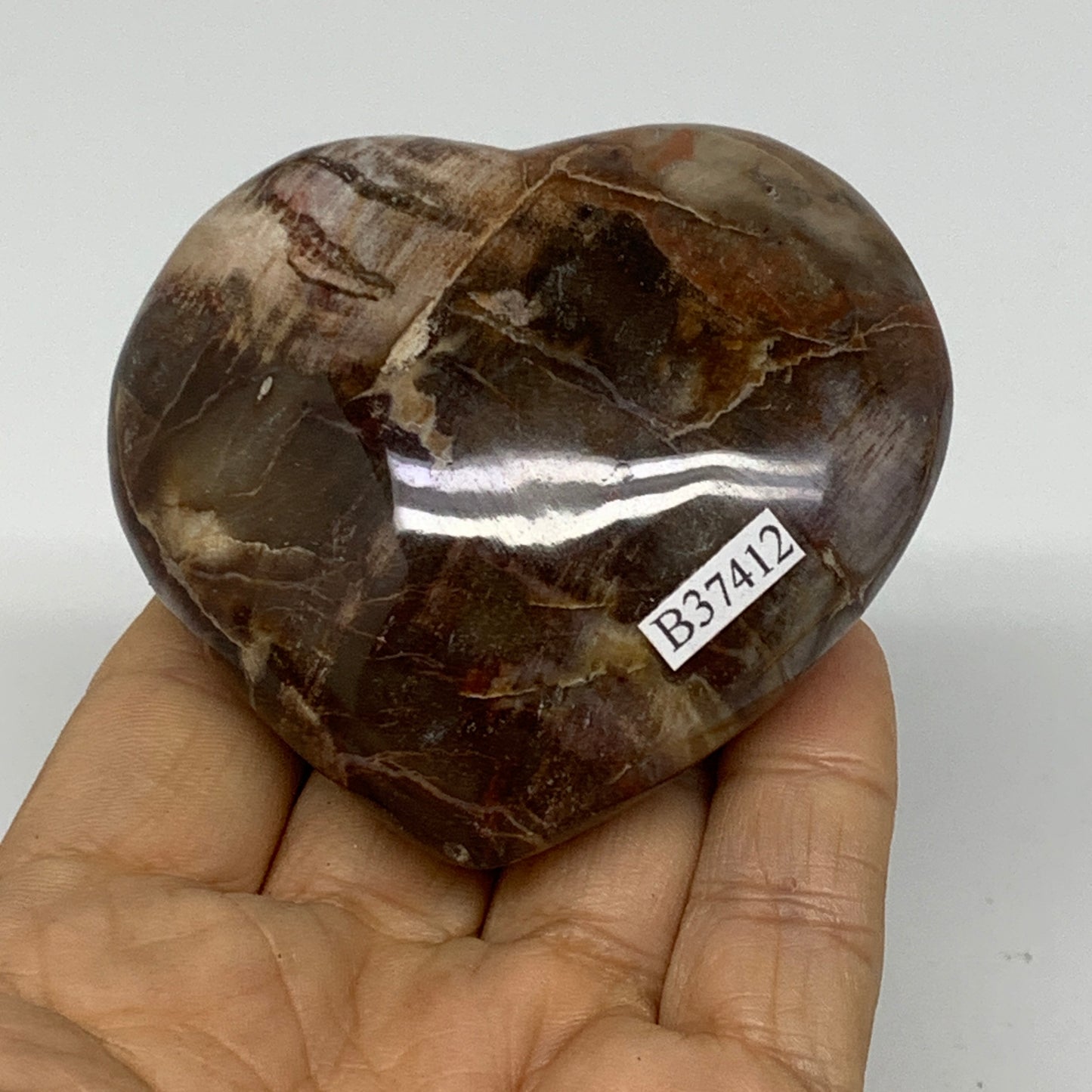 0.40 lbs, 2.5"x2.8"x1.2", Natural Petrified Wood Heart Polished Crystal, B37412