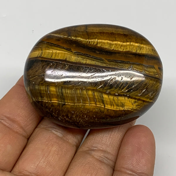 76.7g, 2.1"x1.6"x0.8", Natural Tiger's Eye Palm-Stone Gemstone @India, B27950