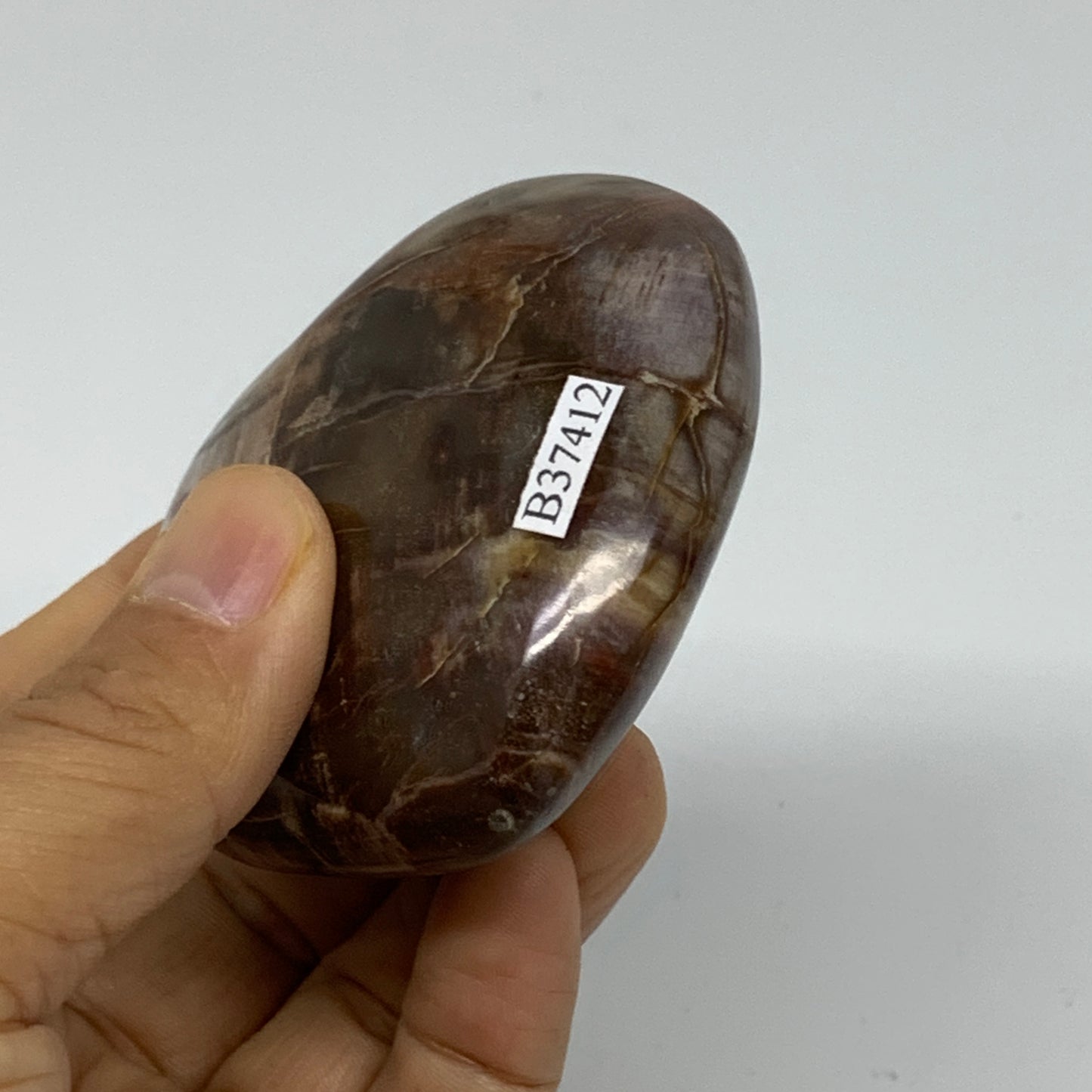 0.40 lbs, 2.5"x2.8"x1.2", Natural Petrified Wood Heart Polished Crystal, B37412