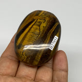 101.8g, 2.3"x1.7"x0.9", Natural Tiger's Eye Palm-Stone Gemstone @India, B27951