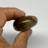 82g, 2.2"x1.6"x0.8", Natural Tiger's Eye Palm-Stone Gemstone @India, B27952