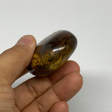 82g, 2.2"x1.6"x0.8", Natural Tiger's Eye Palm-Stone Gemstone @India, B27952