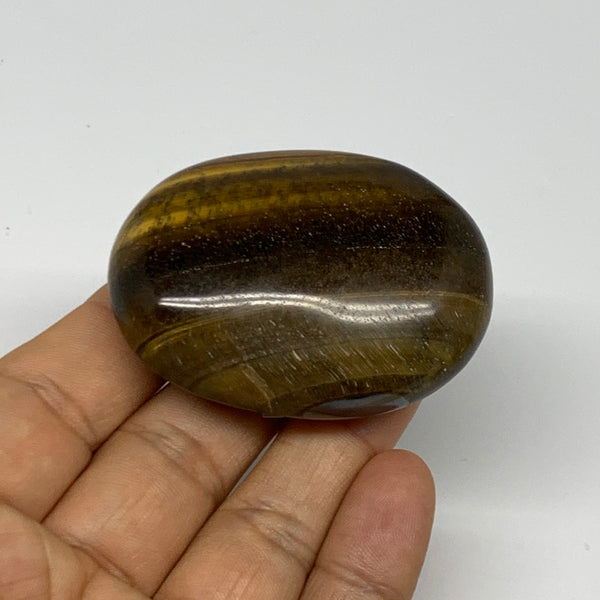 76.8g, 2.2"x1.6"x0.8", Natural Tiger's Eye Palm-Stone Gemstone @India, B27953