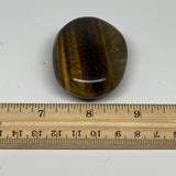 76.8g, 2.2"x1.6"x0.8", Natural Tiger's Eye Palm-Stone Gemstone @India, B27953