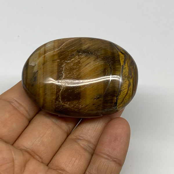 78.9g, 2.2"x1.6"x0.7", Natural Tiger's Eye Palm-Stone Gemstone @India, B27957
