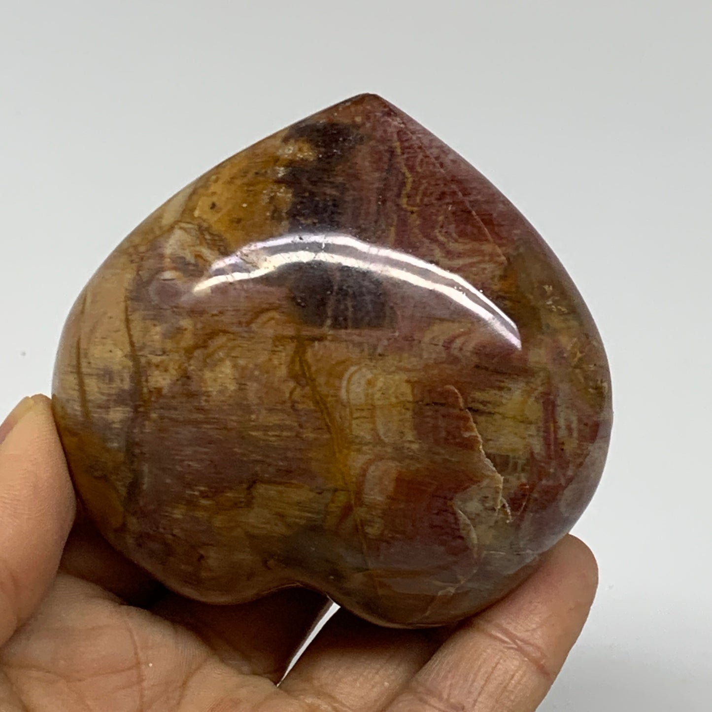 0.49 lbs, 2.6"x2.8"x1.5", Natural Petrified Wood Heart Polished Crystal, B37420