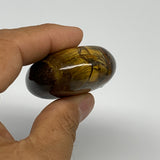 87.8g, 2.2"x1.7"x0.8", Natural Tiger's Eye Palm-Stone Gemstone @India, B27962