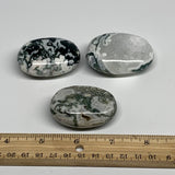 188g, 2"- 2.2", 3pcs, Tree Agate Palm-Stone Reiki Energy Crystal Reiki, B29509
