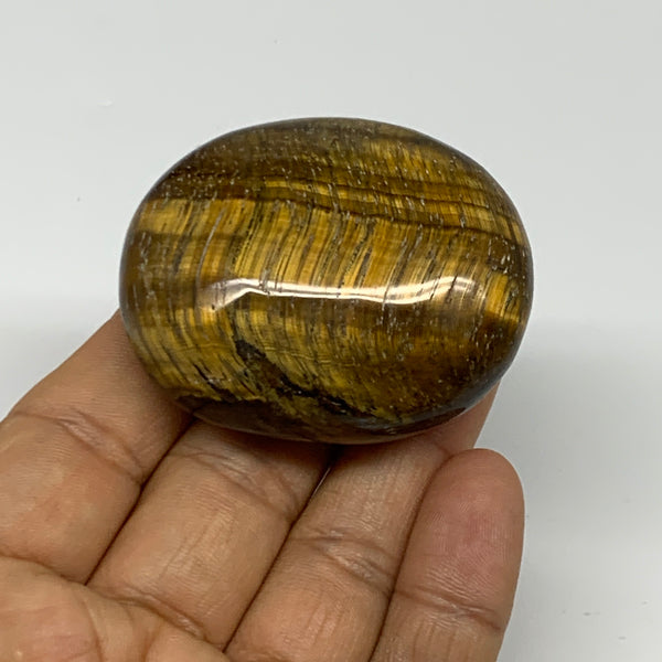 79.3g, 2"x1.7"x0.9", Natural Tiger's Eye Palm-Stone Gemstone @India, B27964