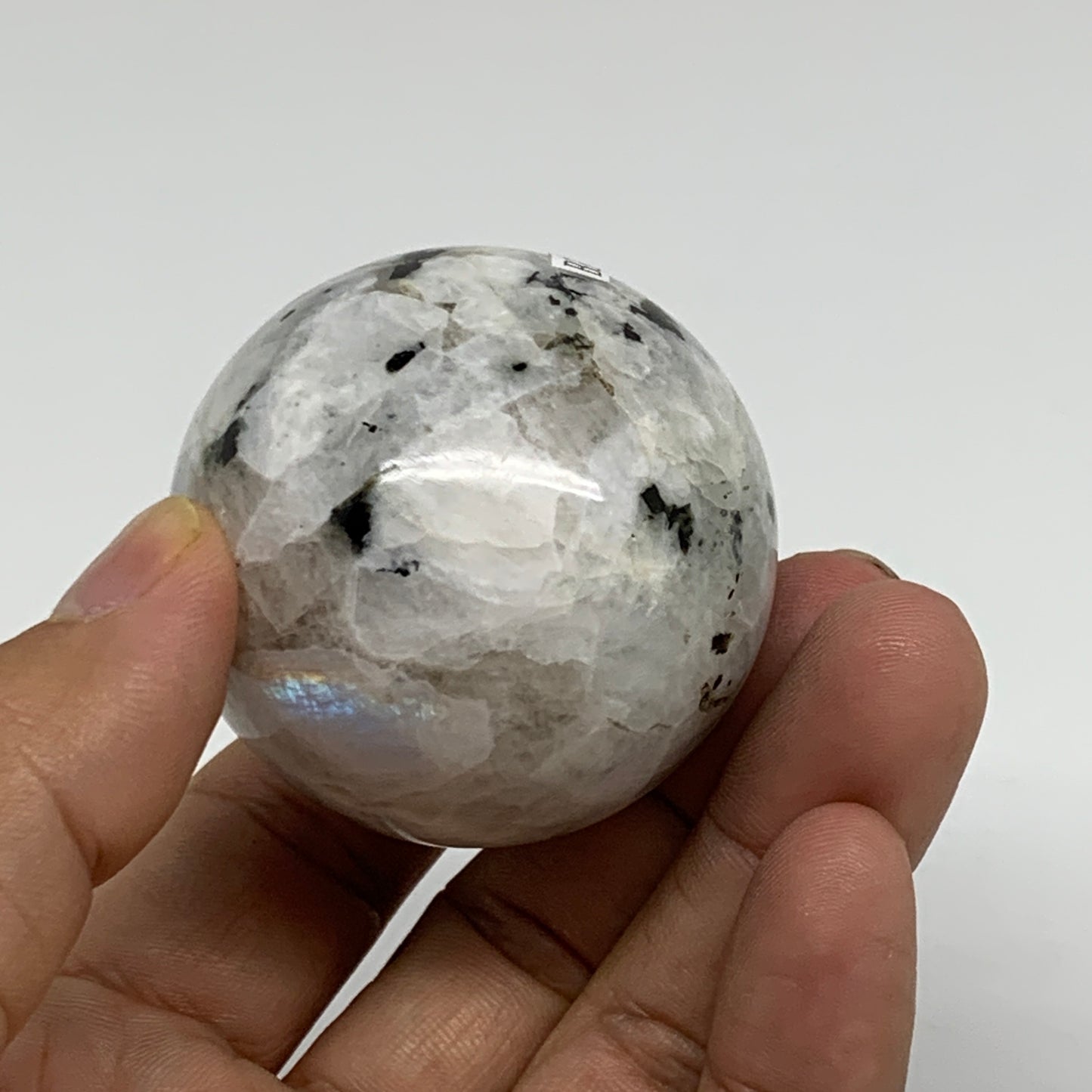 155g, 2.2"x1.8", Natural Gemstone White Rainbow Moonstone Egg, B34413