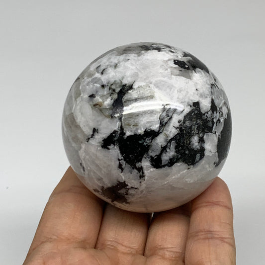 288.7g, 2.3"(59mm), Natural Rainbow Moonstone Sphere Ball Gemstone, B35196