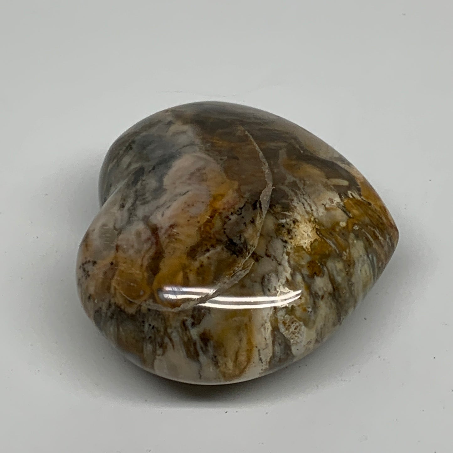 0.58 lbs, 2.6"x3"x1.4", Natural Petrified Wood Heart Polished Crystal, B37429