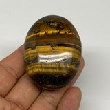 81.7g, 2.2"x1.7"x0.8", Natural Tiger's Eye Palm-Stone Gemstone @India, B27966