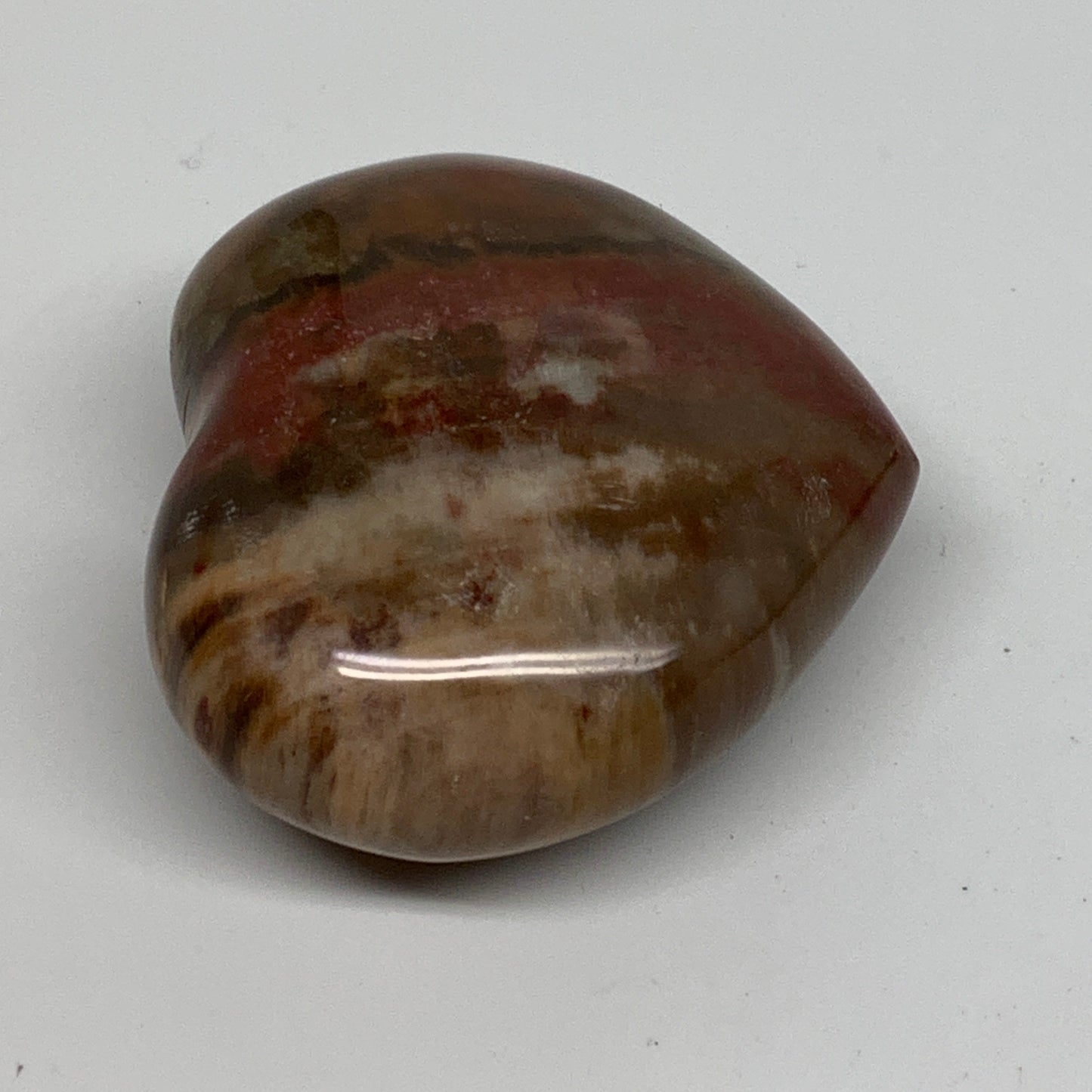 0.31 lbs, 2.2"x2.5"x1.1", Natural Petrified Wood Heart Polished Crystal, B37432