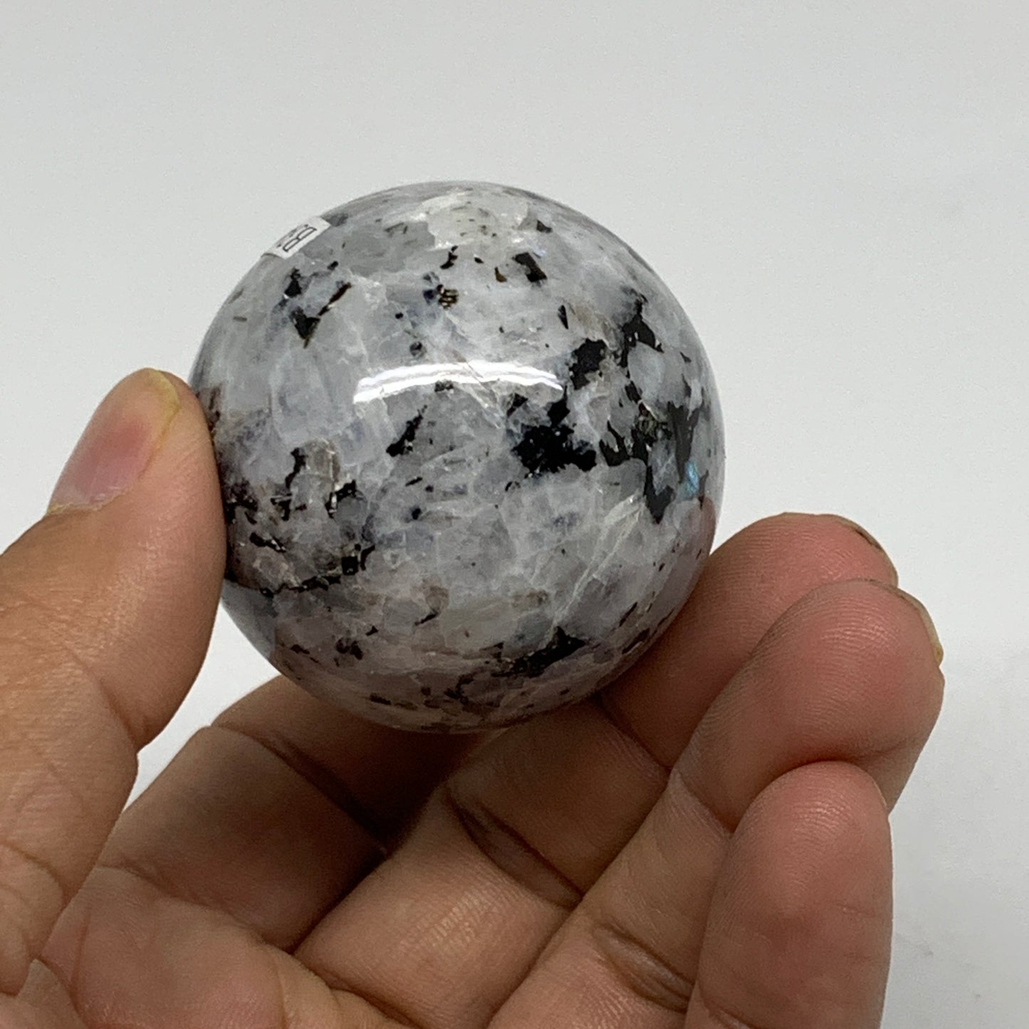 144.2g, 2.2"x1.7", Natural Gemstone White Rainbow Moonstone Egg, B34421