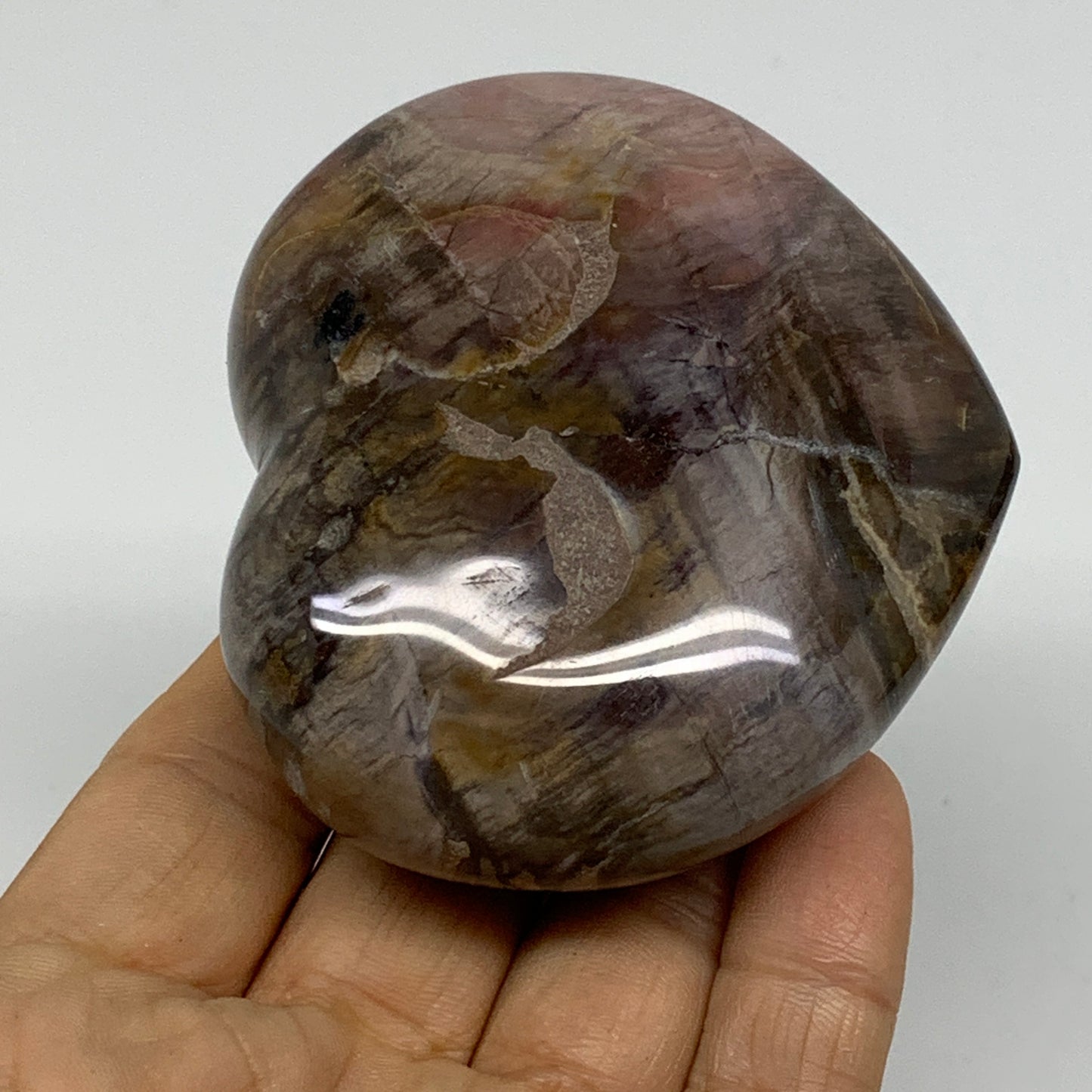 0.48 lbs, 2.6"x3"x1.3", Natural Petrified Wood Heart Polished Crystal, B37439