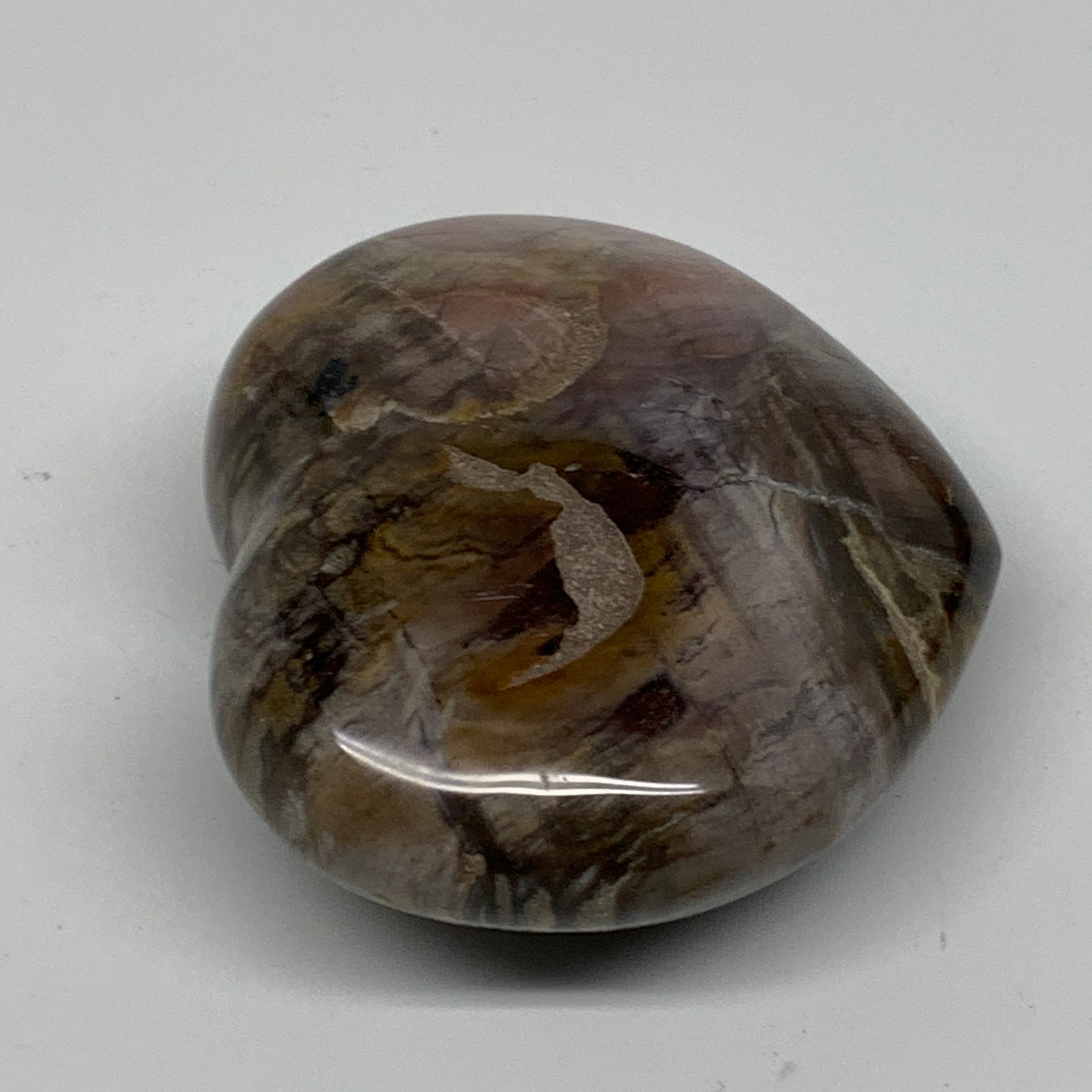 0.48 lbs, 2.6"x3"x1.3", Natural Petrified Wood Heart Polished Crystal, B37439