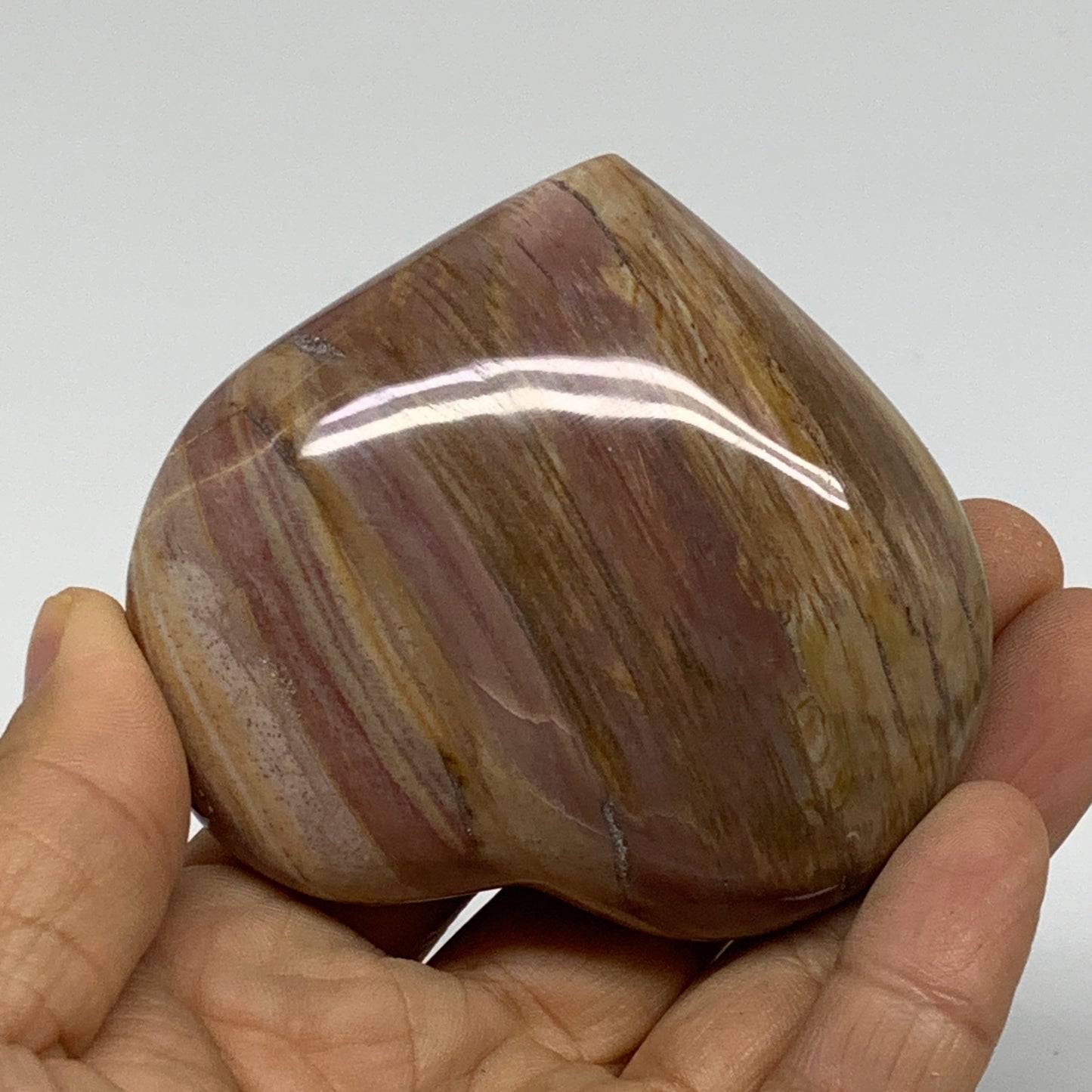 0.44 lbs, 2.5"x2.9"x1.3", Natural Petrified Wood Heart Polished Crystal, B37440