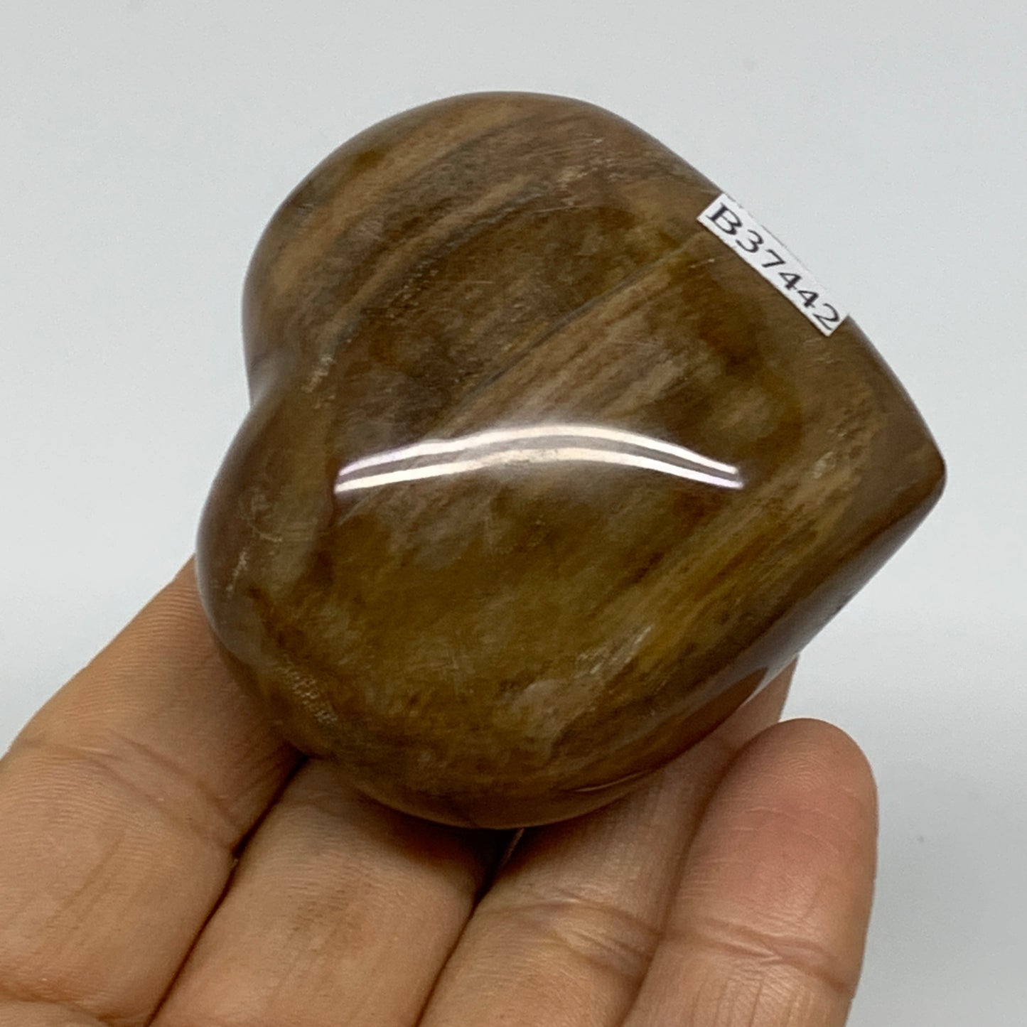 0.30 lbs, 2.2"x2.3"x1.3", Natural Petrified Wood Heart Polished Crystal, B37442