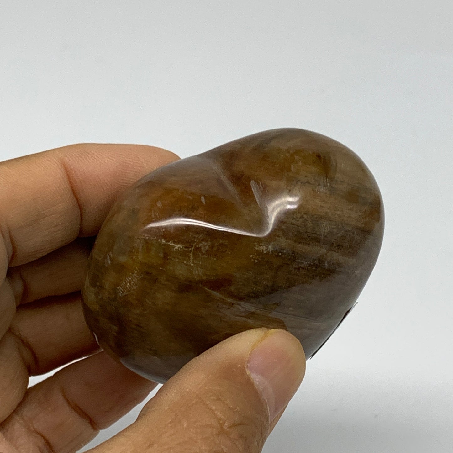 0.30 lbs, 2.2"x2.3"x1.3", Natural Petrified Wood Heart Polished Crystal, B37442