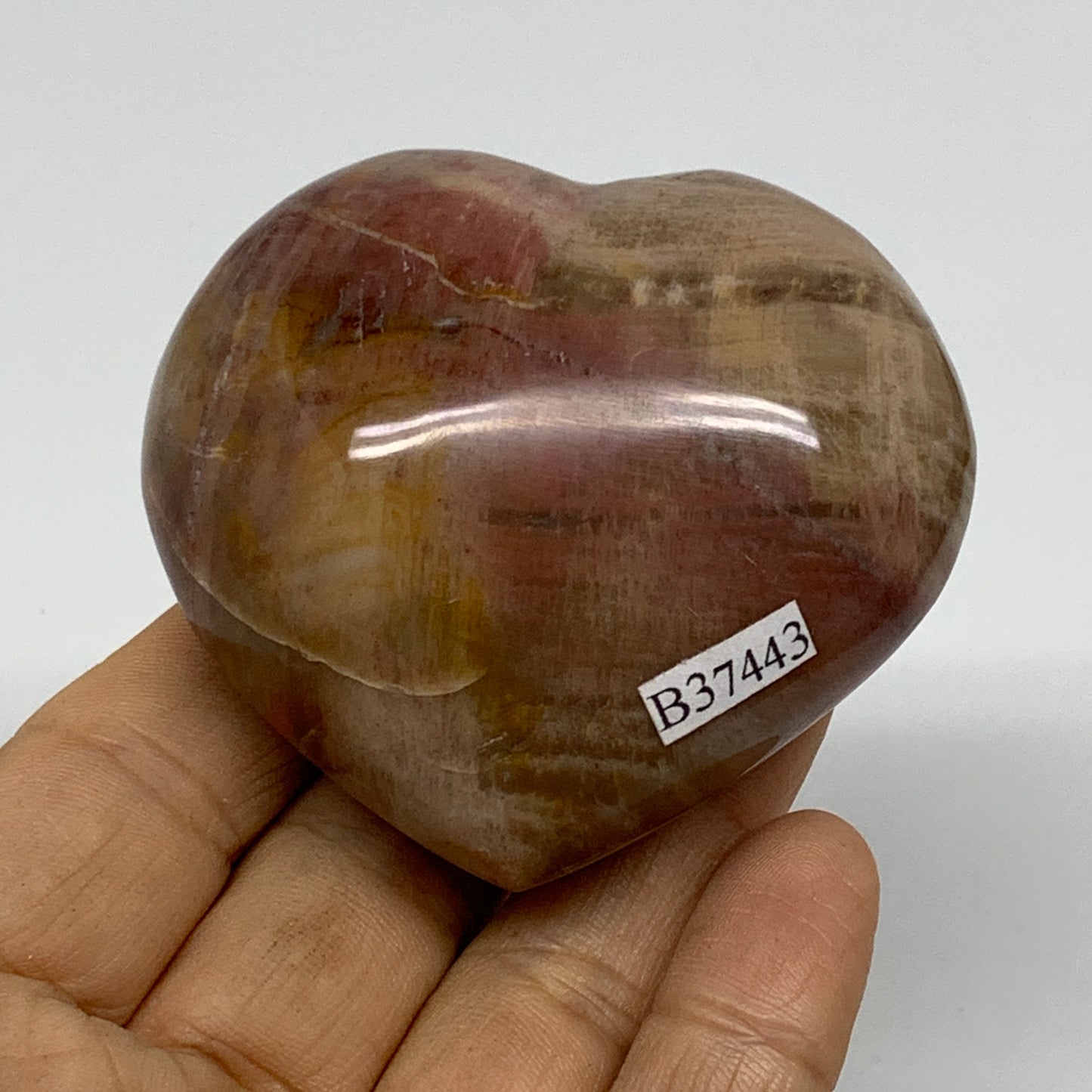 0.36 lbs, 2.3"x2.5"x1.3", Natural Petrified Wood Heart Polished Crystal, B37443