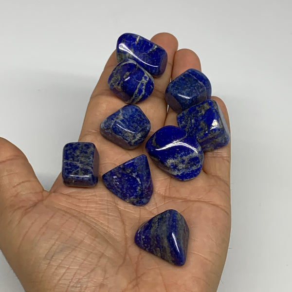 116.9g,0.7"-1", 9pcs, Natural Lapis Lazuli Tumbled Stone @Afghanistan, B30240