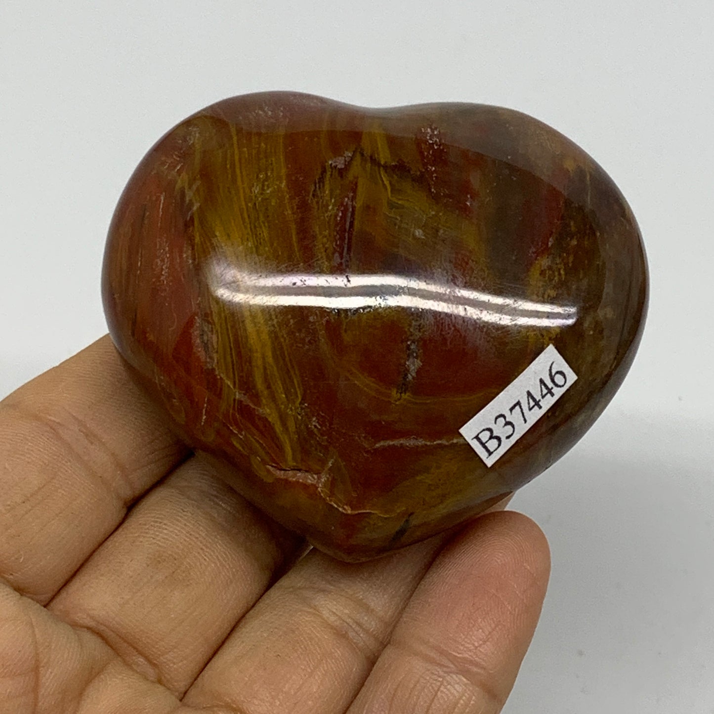0.30 lbs, 2.2"x2.5"x1.1", Natural Petrified Wood Heart Polished Crystal, B37446
