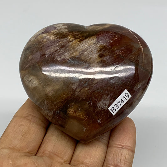 0.51 lbs, 2.6"x2.9"x1.4", Natural Petrified Wood Heart Polished Crystal, B37449
