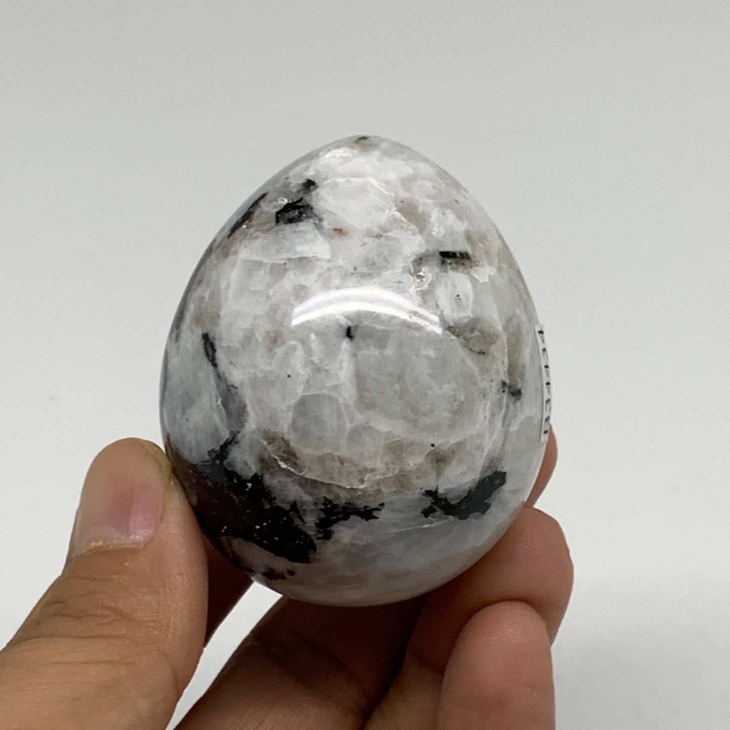 153.7g, 2.2"x1.8", Natural Gemstone White Rainbow Moonstone Egg, B34434