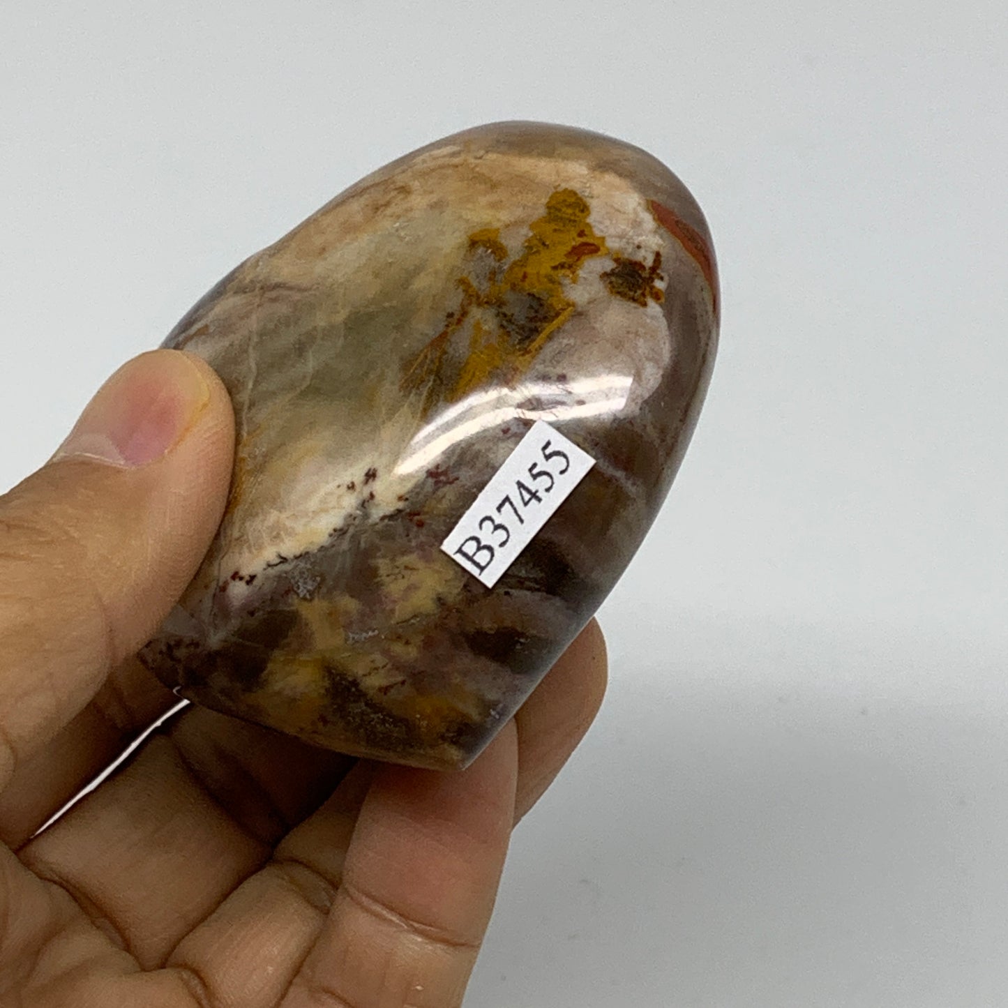 0.40 lbs, 2.5"x2.7"x1.4", Natural Petrified Wood Heart Polished Crystal, B37455