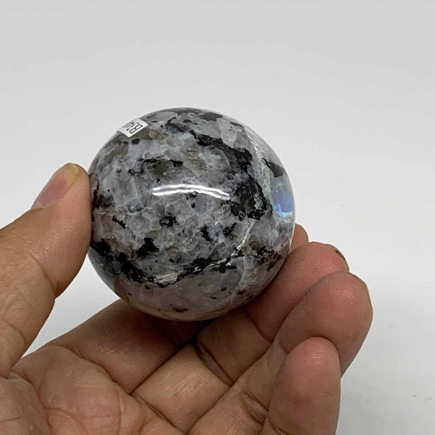 166.3g, 2.3"x1.8", Natural Gemstone White Rainbow Moonstone Egg, B34437