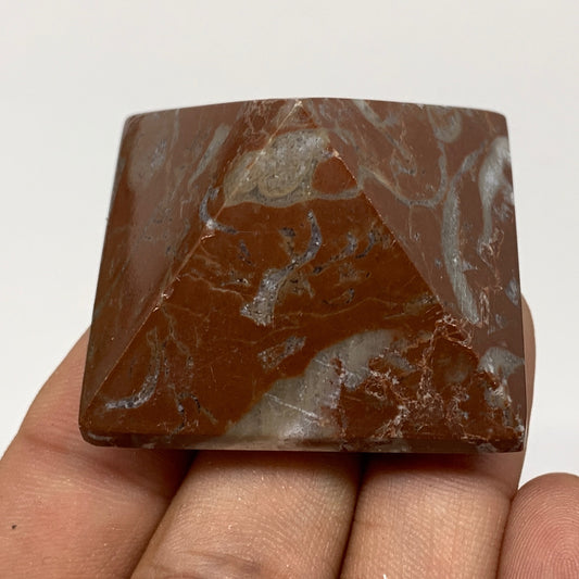 57.1g,1.1"x1.6" Natural Untreated Red Shell Fossils Pyramid Reiki Energy, F1177