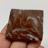 57.1g,1.1"x1.6" Natural Untreated Red Shell Fossils Pyramid Reiki Energy, F1177