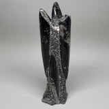 1370g, 9.5"x2.6"x2.4" Black Fossils Orthoceras Sculpture Tower @Morocco,B8603