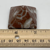 59.5g,1.2"x1.6" Natural Untreated Red Shell Fossils Pyramid Reiki Energy, F1178