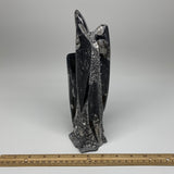 1370g, 9.5"x2.6"x2.4" Black Fossils Orthoceras Sculpture Tower @Morocco,B8603