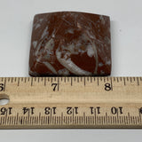 53.1g,1"x1.6" Natural Untreated Red Shell Fossils Pyramid Reiki Energy, F1181