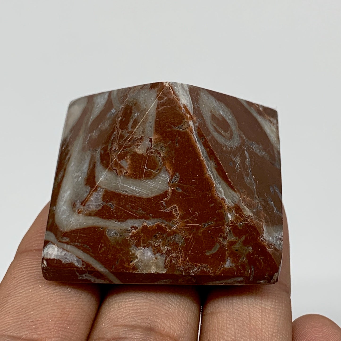 57.3g,1.1"x1.6" Natural Untreated Red Shell Fossils Pyramid Reiki Energy, F1185