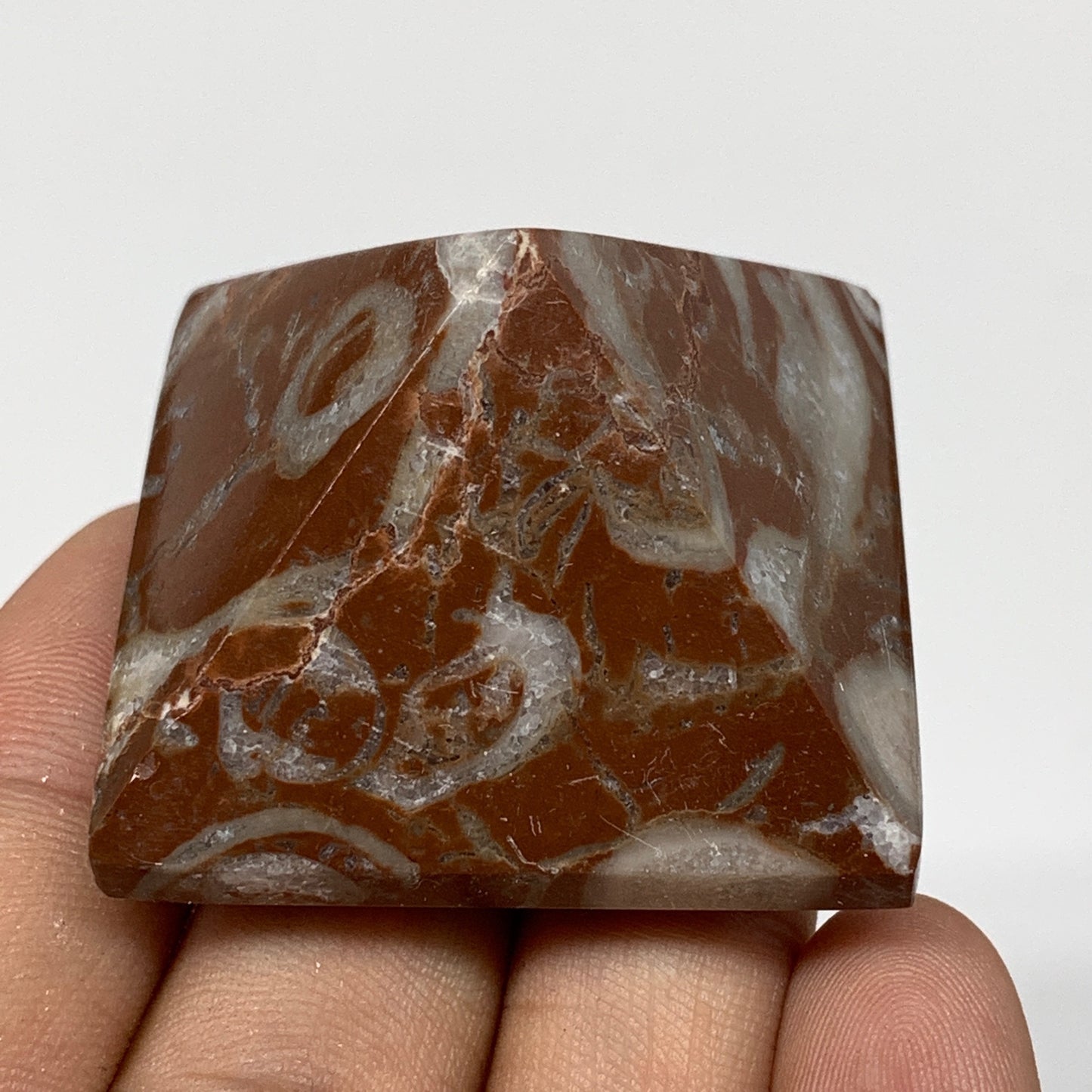 57.3g,1.1"x1.6" Natural Untreated Red Shell Fossils Pyramid Reiki Energy, F1185
