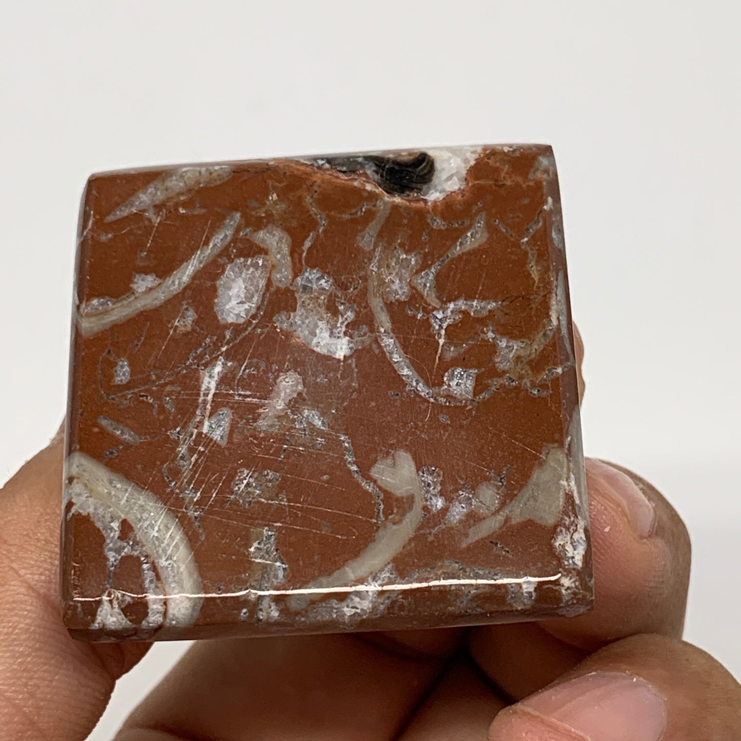 57.3g,1.1"x1.6" Natural Untreated Red Shell Fossils Pyramid Reiki Energy, F1185