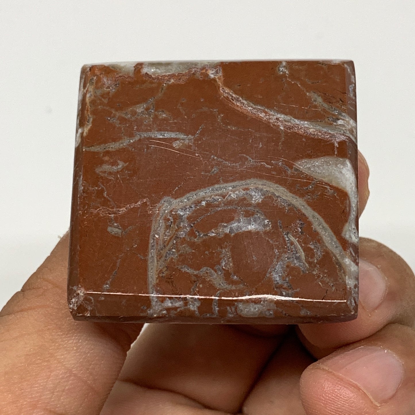 55.9g,1.1"x1.6" Natural Untreated Red Shell Fossils Pyramid Reiki Energy, F1188