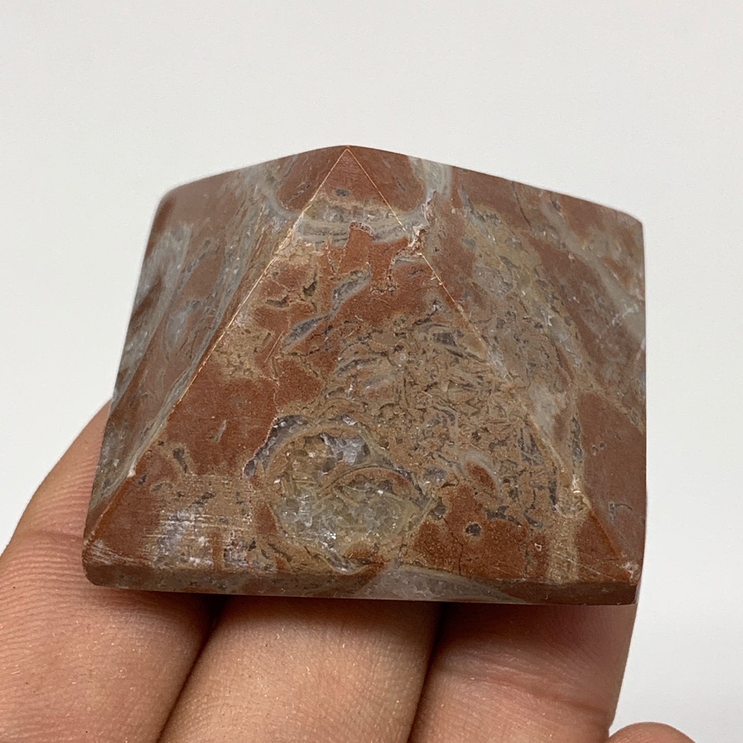 53.7g,1.1"x1.6" Natural Untreated Red Shell Fossils Pyramid Reiki Energy, F1190